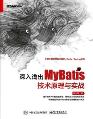 深入浅出MyBatis技术