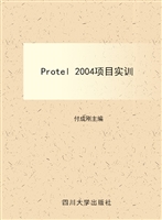 Protel 2004项目实训