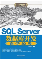 SQL Server数据库开发