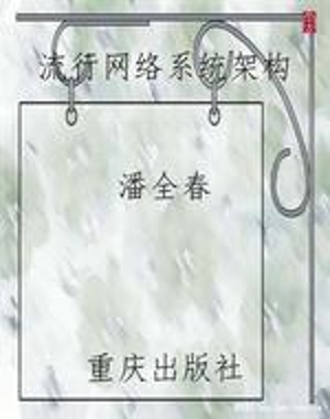 流行网络系统架构