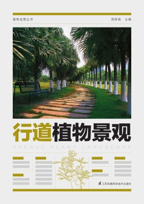 行道植物景观