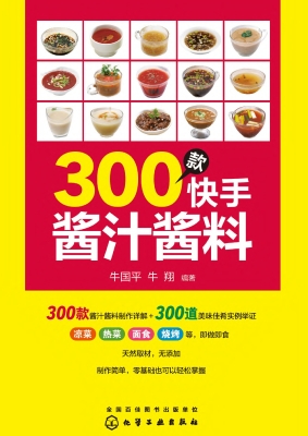300款快手酱汁酱料