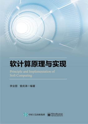 软计算原理与实现