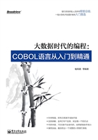 大数据时代的编程：COBO
