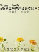 Visual FoxPro数据库