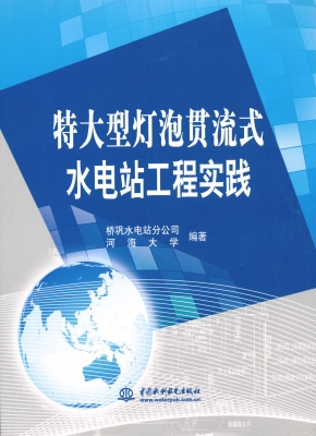 特大型灯泡贯流式水电