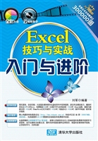 Excel技巧与实战入门
