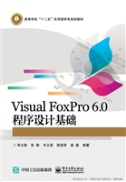 Visual FoxPro 6.0程