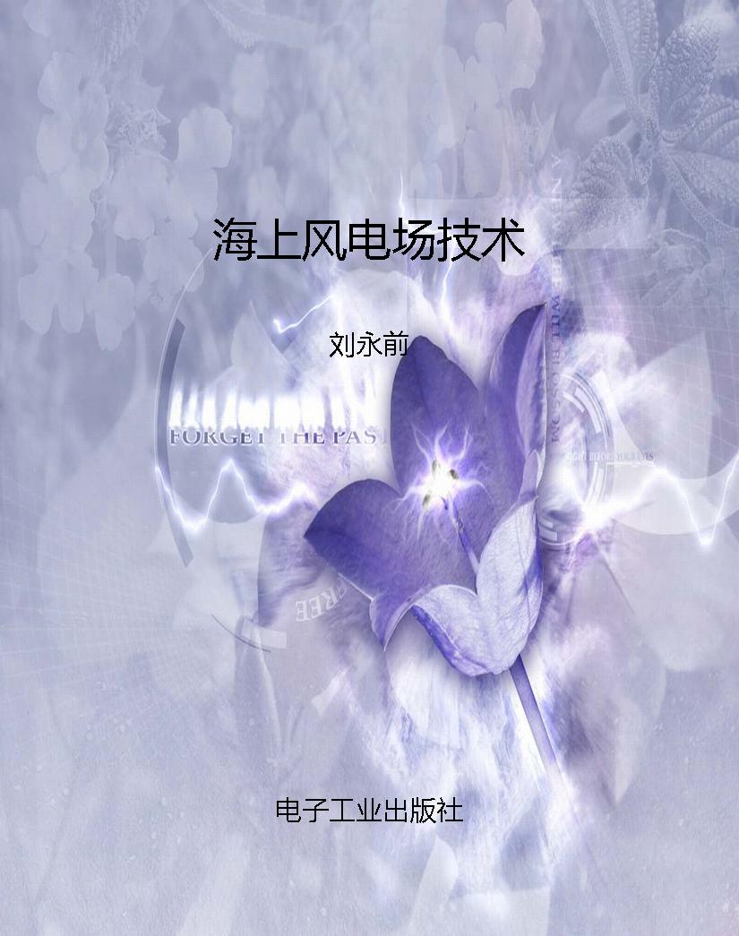 海上风电场技术