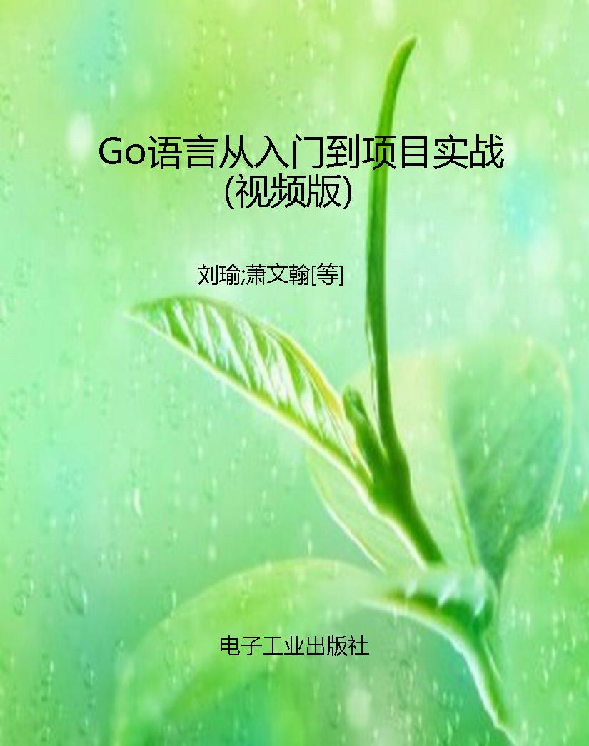 Go语言从入门到项目实