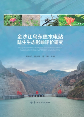 金沙江乌东德水电站陆