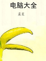 电脑大全