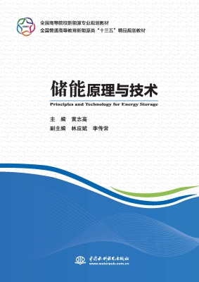 储能原理与技术