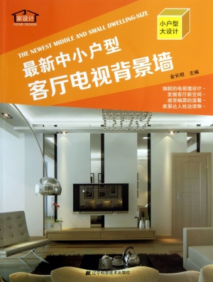 最新中小户型——客厅