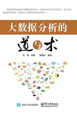 大数据分析的道与术