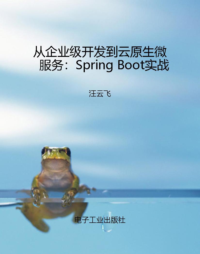 从企业级开发到云原生