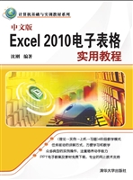 中文版Excel 2010电子