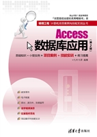 Access数据库应用