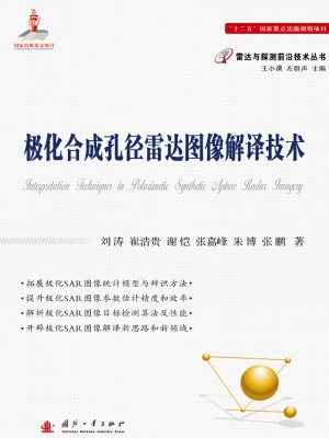 极化合成孔径雷达图像