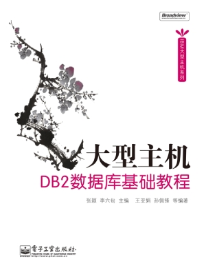 大型主机DB2数据库基