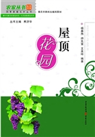 屋顶花园