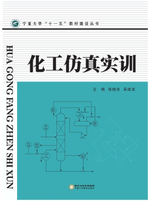 化工仿真实训