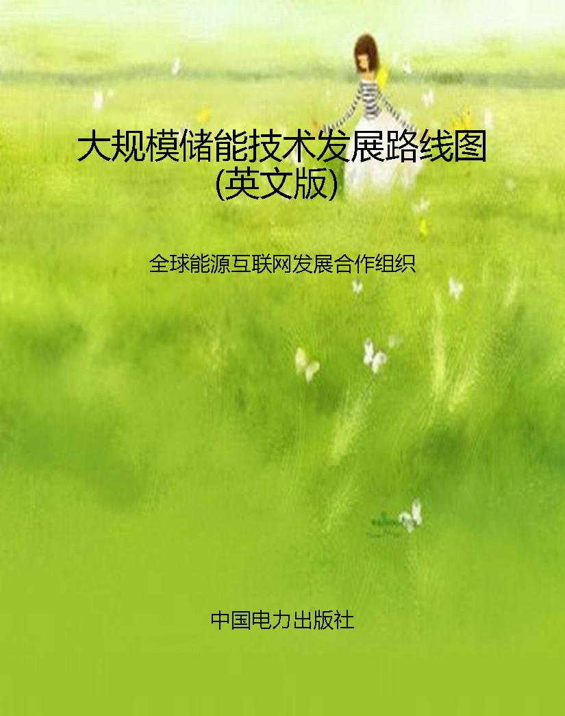 大规模储能技术发展路