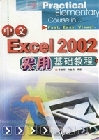 中文Excel 2002实用基