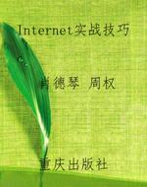 Internet实战技巧
