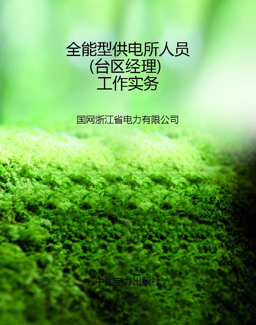 全能型供电所人员（台区