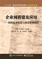 企业网搭建及应用——