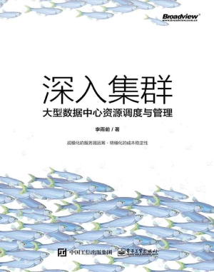 深入集群——大型数据