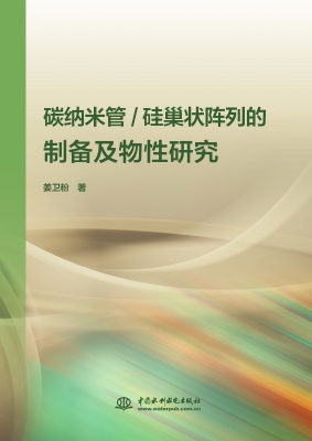 碳纳米管/硅巢状阵列