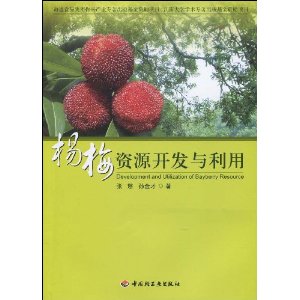 杨梅资源开发与利用