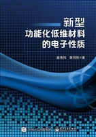 新型功能化低维材料的