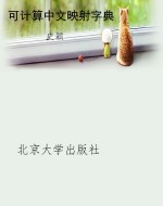 可计算中文映射字典