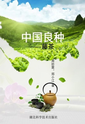 中国良种——藤茶