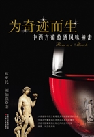 为奇迹而生——中西方