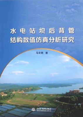 水电站坝后背管结构数