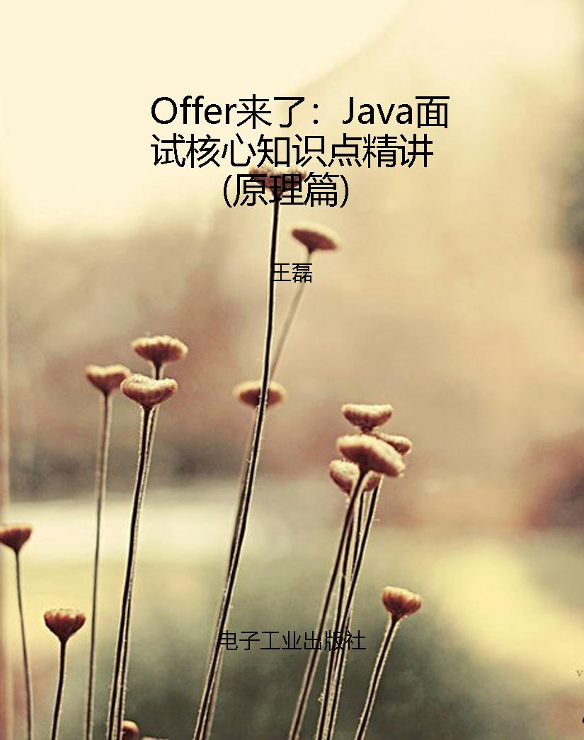 Offer来了：Java面试核