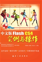 中文版Flash CS4实例
