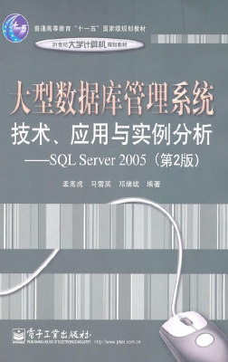 大型数据库管理系统技