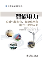 智能电力——应对气候