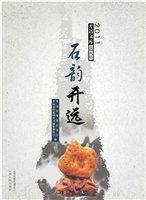 石韵开远