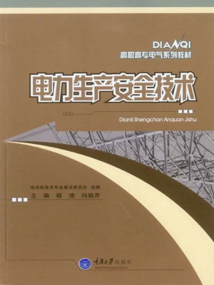 电力生产安全技术