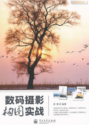 数码摄影构图实战