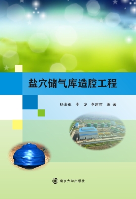 盐穴储气库造腔工程