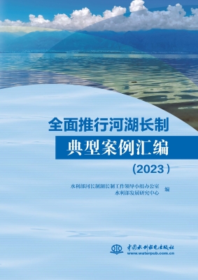 全面推行河湖长制典型