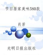 节日居家美味580款
