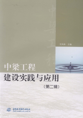 中梁工程建设实践与应